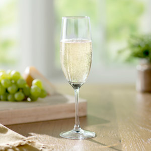 Wayfair Basics 8 oz. Champagne Flute (Set of 4)