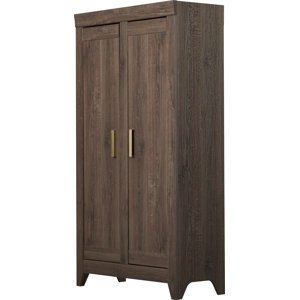 Orville 2 Doors Storage Accent Cabinet