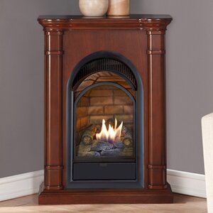 Dual Fuel Ventless Natural Gas/Propane Fireplace