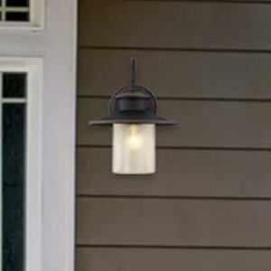 Delmont 1-Light Outdoor Barn Light