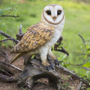 Owl on Branch Statue