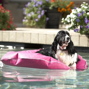 Poochie Pool Mat