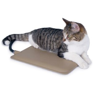 Extreme Weather Kitty Pad