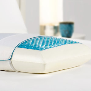 Bed Memory Foam and Hydraluxe Gel Pillow by Alwyn Home