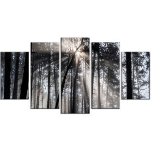 5 Piece Canvas Pictures Wayfair Sunbeams Through Black White Forest 5 Piece Wall Art On Wred Canvas Set