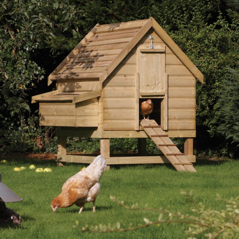 Elara Large Chicken Coop