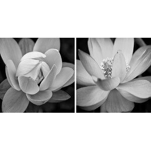 'Lotus' 2 Piece Photographic Print on Wrapped Canvas Set