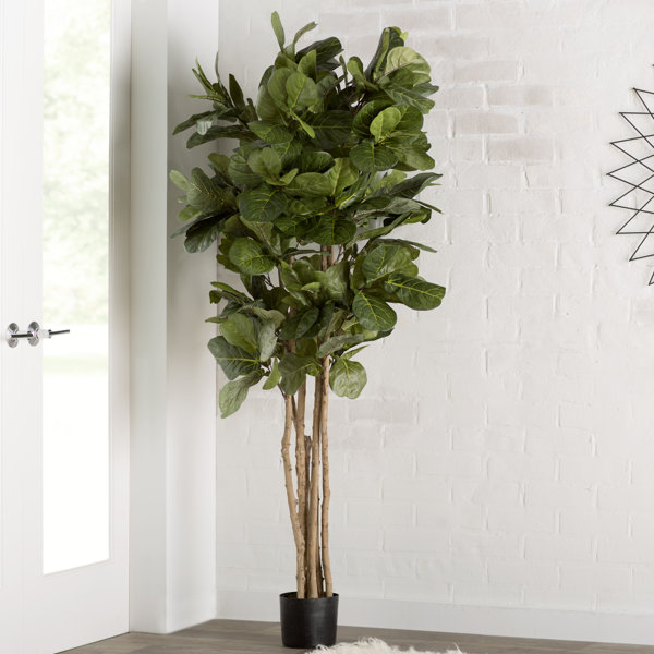 Faux Fiddle Leaf Fig Tree in Pot & Reviews Joss & Main