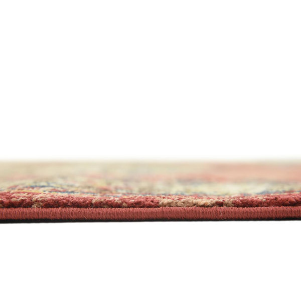 Blair Terracotta Area Rug & Reviews Joss & Main