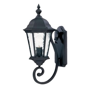 Brook Lane 1-Light Outdoor Sconce