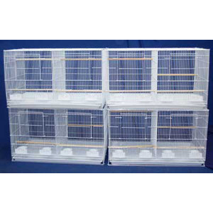 Lot of Four Medium Bird Cage with Divider