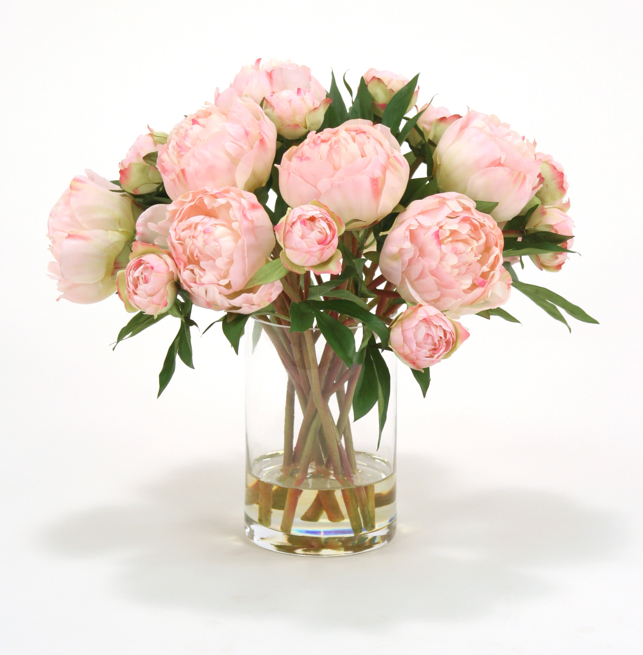 Distinctive Designs Waterlook Pink Peonies In Gl Cylinder Vase Distinctive Designs Waterlook Pink Peonies In Gl Cylinder Vase Wayfair