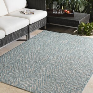 Fonwhary Aqua Indoor/Outdoor Area Rug