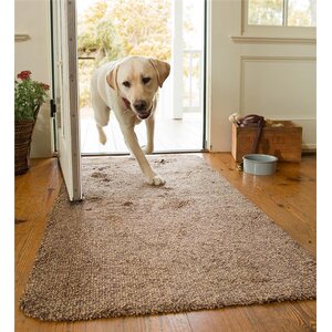 Mud Brown Area Rug