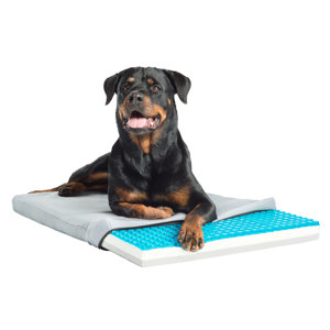 Pet Therapeutics TheraCool Gel Cell Cooling Pad with Tri Core Charcoal-Infused Memory Foam