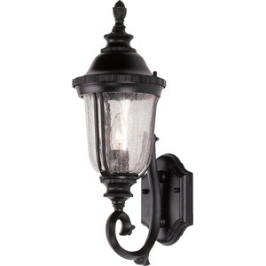 Ehrhardt 1-Light Outdoor Sconce