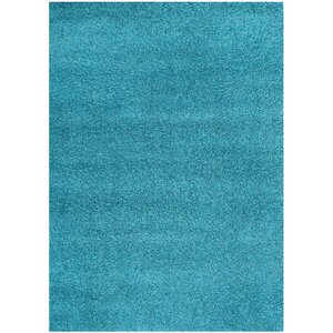 Turquoise Area Rug