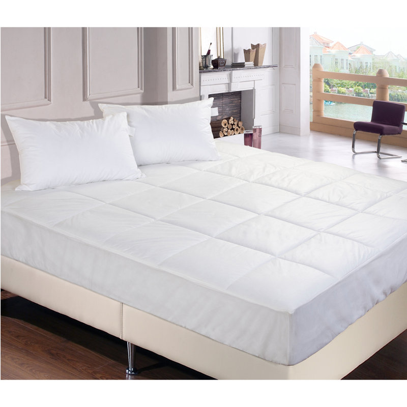 Permafresh Permafresh Antibacterial Mattress Pad & Reviews Wayfair