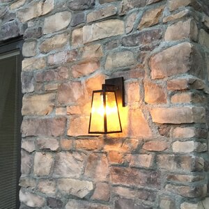 Devaney 1-Light Outdoor Wall Lantern