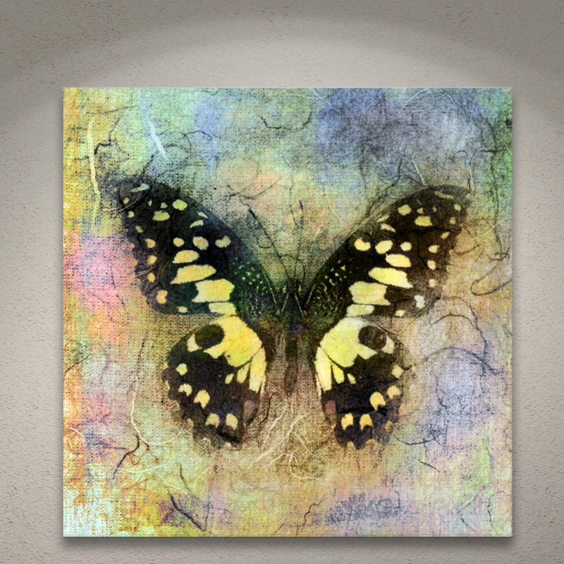 ArtWall 'Butterfly' Mixed Media Print by Elena Ray Graphic Art on