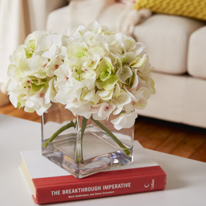 Hydrangea Cluster in Water Cube Vase