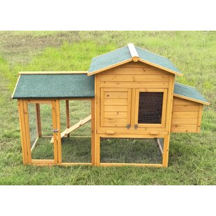 Chicken Coops Youll Love In 2019 Wayfairca