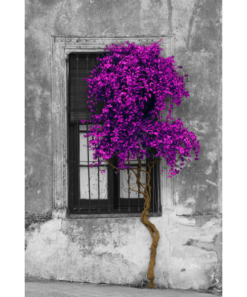 Purple And Gray Wall Art purple wall art you'll love | wayfair Purple And Gray Wall Art purple wall art you'll love | wayfair