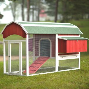 Large Barn Chicken Coop with Roosting Bar