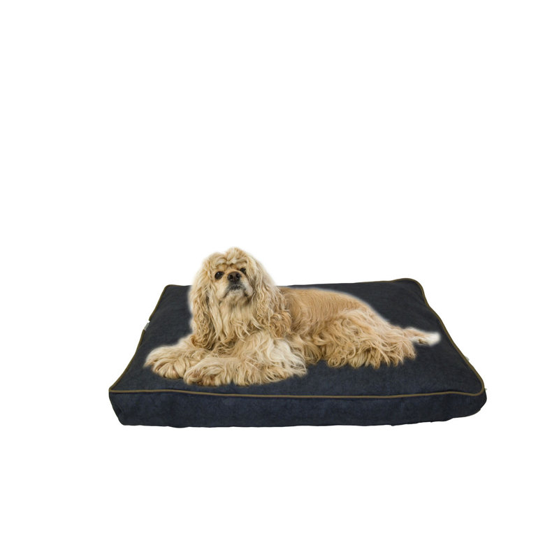 Carolina Pet Company Indoor/Outdoor Dog Bed with Cording in Solid ... Carolina Pet Company Indoor/Outdoor Dog Bed with Cording in Solid ...