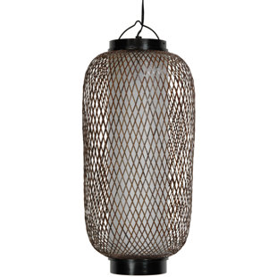 Plug In Hanging Lantern Wayfair Diane 1 Light Hanging Lantern
