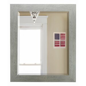 Tirado Brushed Silver Beveled Wall Mirror