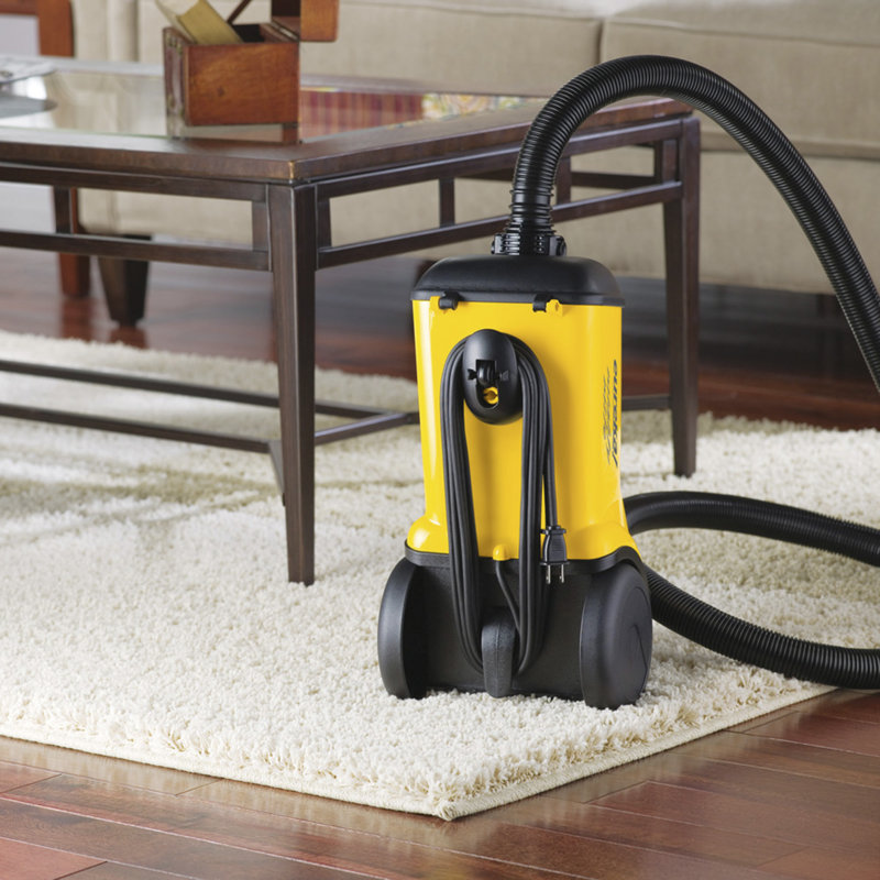 Eureka® Mighty Mite Canister Vacuum Cleaner & Reviews Wayfair