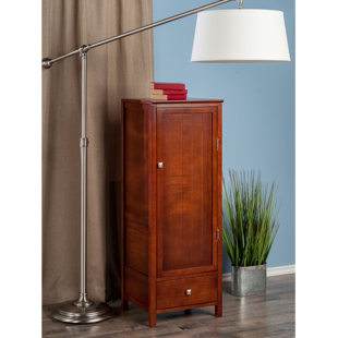 Closed Coat Cabinet Wayfair Brooke Jelly Close Cupboard 1 Door Accent Cabinet