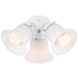 3-Light Branched Ceiling Fan Light Kit