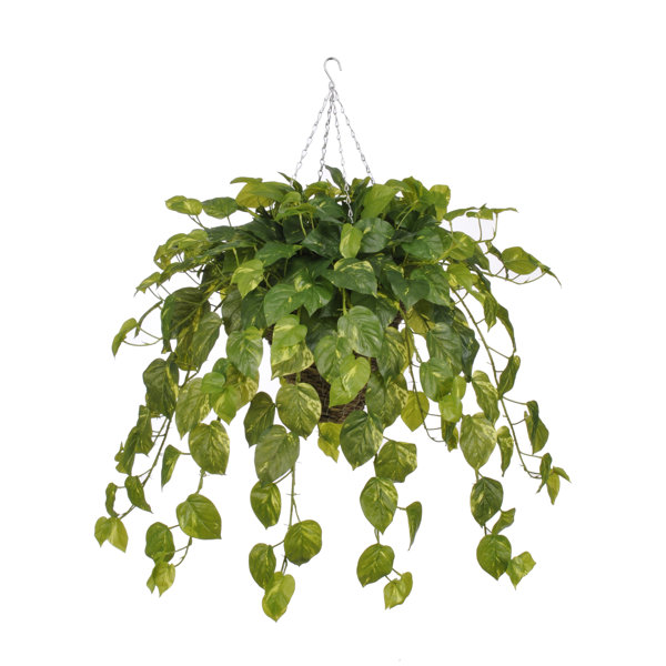 House of Silk Flowers Artificial Real Touch Pothos Hanging Plant in