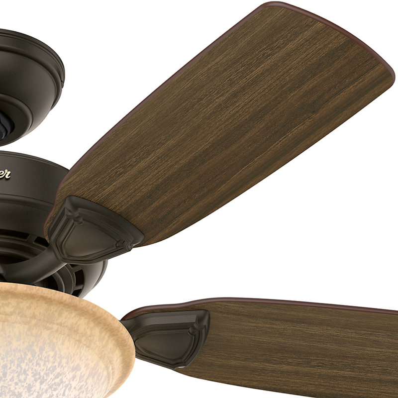Hunter Fan 44 Auberville 5 Blade Ceiling Wayfair 44 Auberville 5 Blade Ceiling Fan