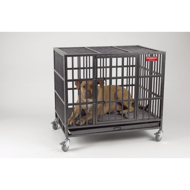 proselect empire dog cages