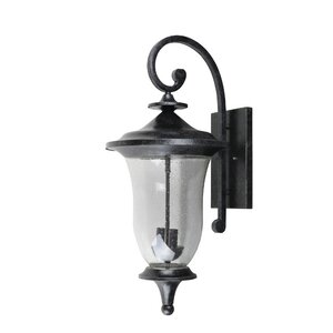 Bradenville 2-Light Outdoor Wall Lantern