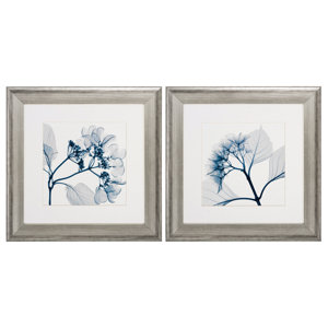 Hydrangeas Pos 2 Piece Framed Graphic Art Set