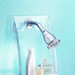 Grand Arc Shower Caddy