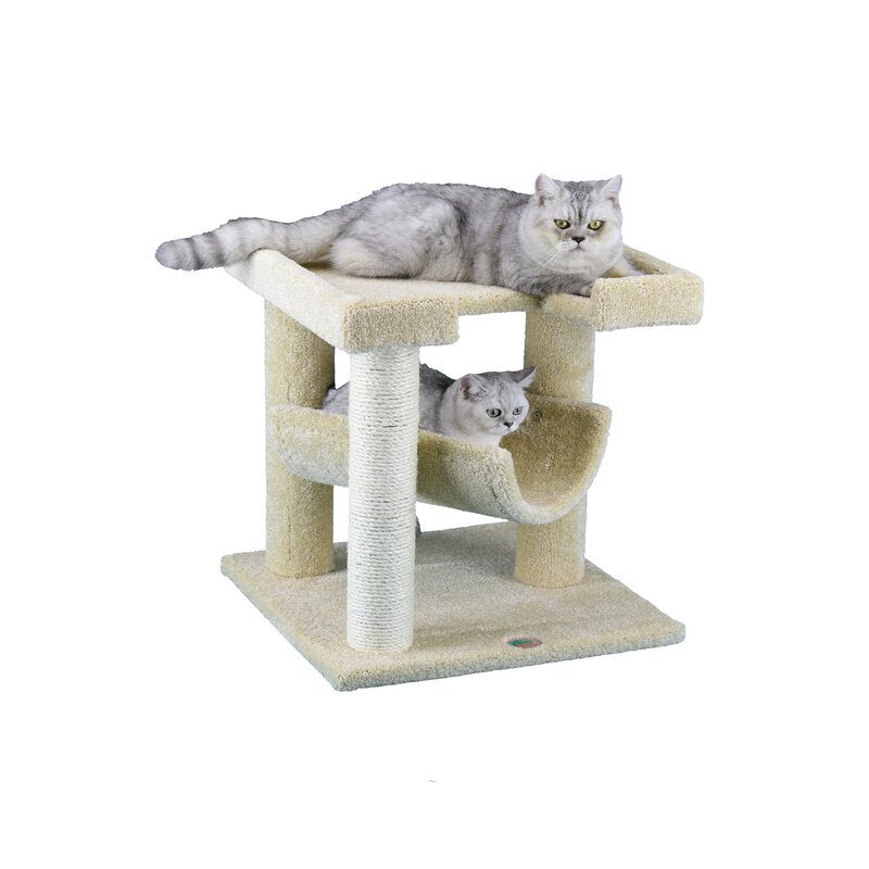 Go Pet Club Premium 23" Carpeted Cat Tree & Reviews | Wayfair