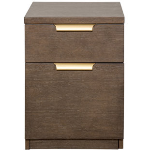 Modern Filing Cabinets Allmodern Miracle 2 Drawer Mobile Vertical Filing Cabinet