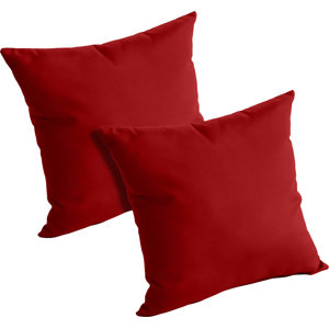 Mayson Outdoor Throw Pillow (Set of 2)