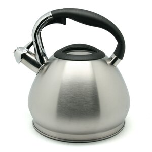 Triumph 3.5-qt Stainless Steel Tea Kettle