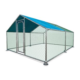 Walk In Chicken Run Wayfair