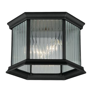 Tennyson 2-Light Outdoor Flush Mount