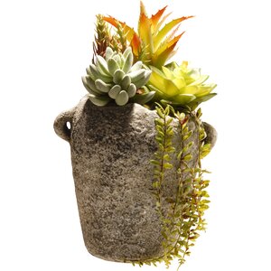 Succulent Desk Top Plant in Urn