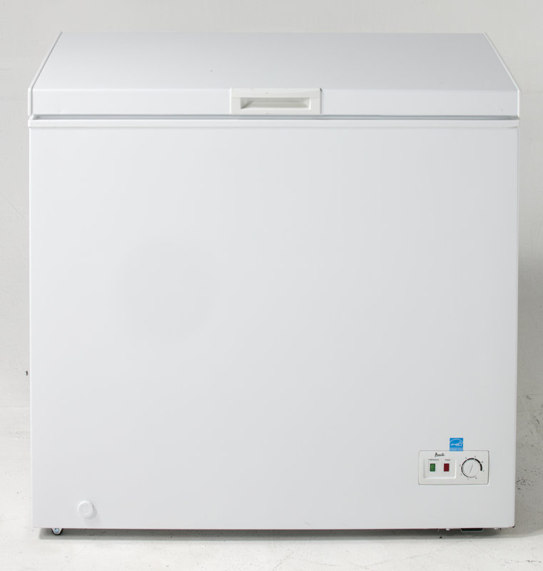 Avanti 7 cu. ft. Chest Freezer & Reviews Wayfair