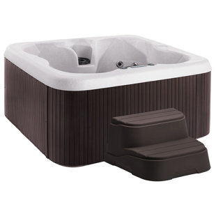Ls100 Plus 4 Person 20 Jet Plug and Play Hot review