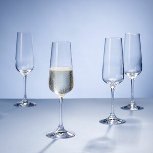 Ovid Champagne Flute (Set of 4)